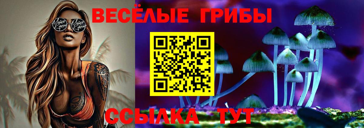 Галлюциногенные грибы мухоморы Апшеронск